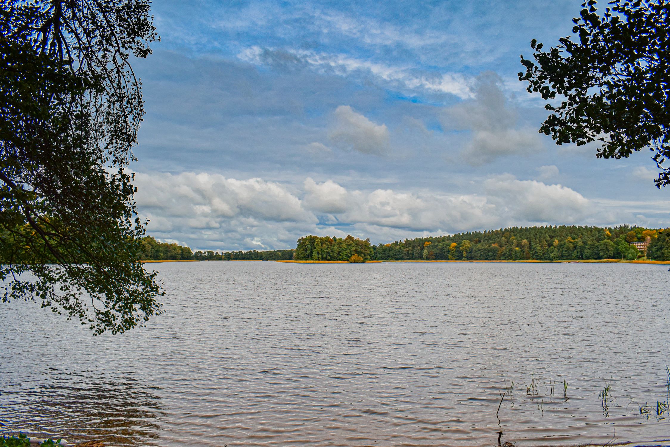 Jezioro Bartężek