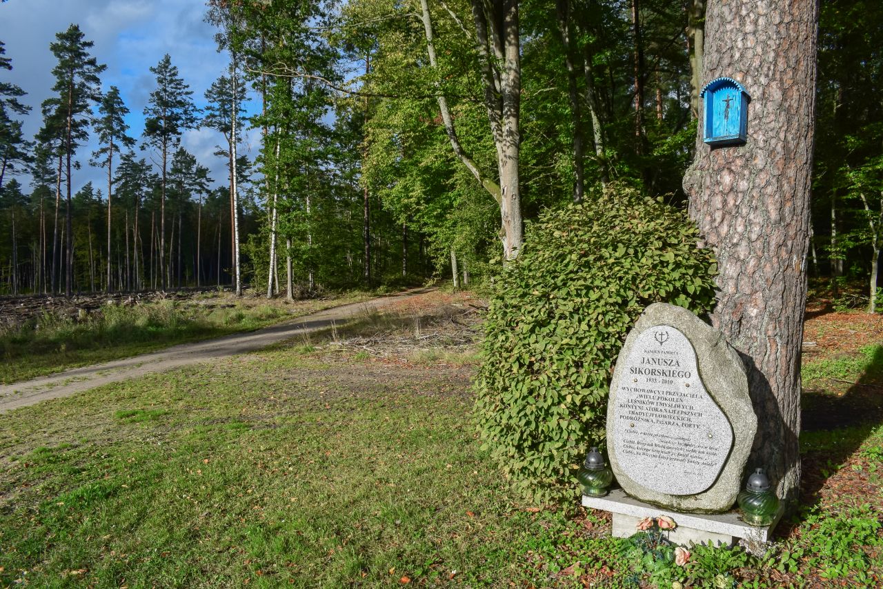 Kamień Pamięci w lesie przed Kątnem