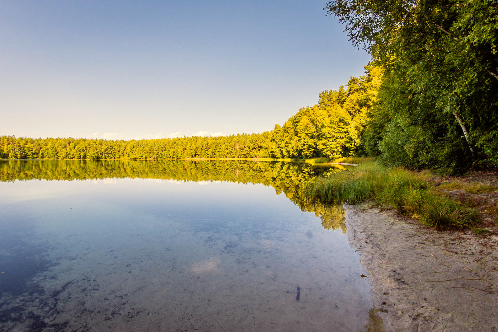 Jezioro Jasne w Parku Krajobrazowym Pojezierza Iławskiego, fot. arch. UMWWM