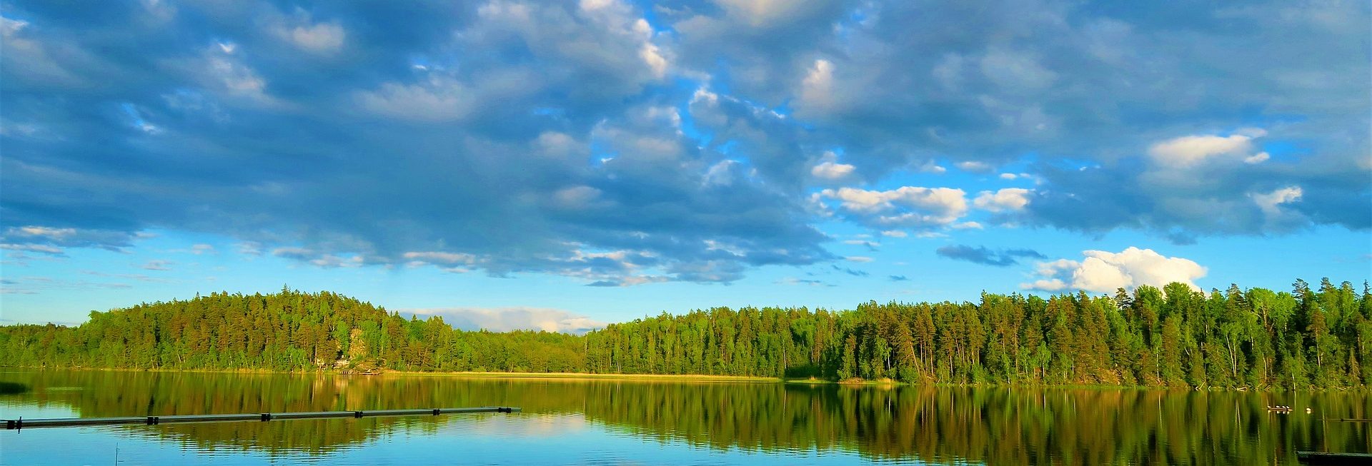 Zdjęcie przedstawia błękitne jezioro w którym odbija się zielony las.