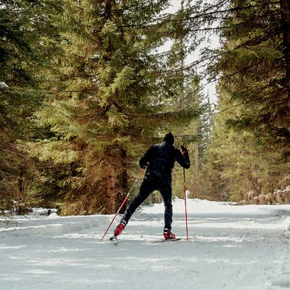 Narciarz na nartach biegowych podczas zimowej jazdy na leśnej ścieżce. Wokół ścieżki las pokryty śniegiem.       