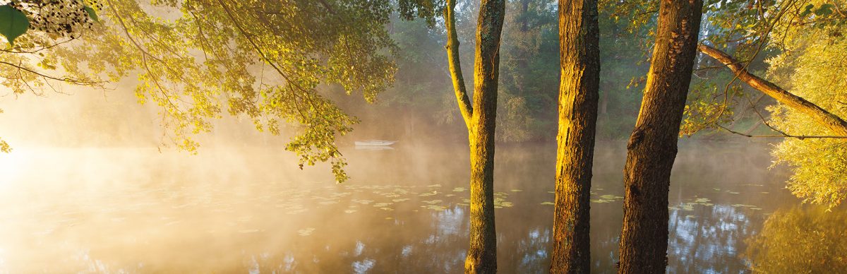 Małe jeziorko od strony lasu podczas wschodu słońca, nad którym unoszą się promienie słońca  mała mgła i szadź poranka. Przy brzegu trzy duże drzewa a na wodzie po drugiej stronie brzegu łódka.   