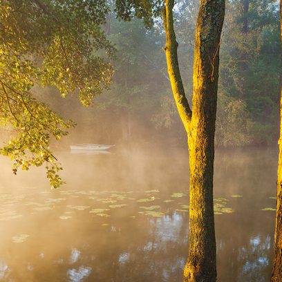 Małe jeziorko od strony lasu podczas wschodu słońca, nad którym unoszą się promienie słońca  mała mgła i szadź poranka. Przy brzegu trzy duże drzewa a na wodzie po drugiej stronie brzegu łódka.   