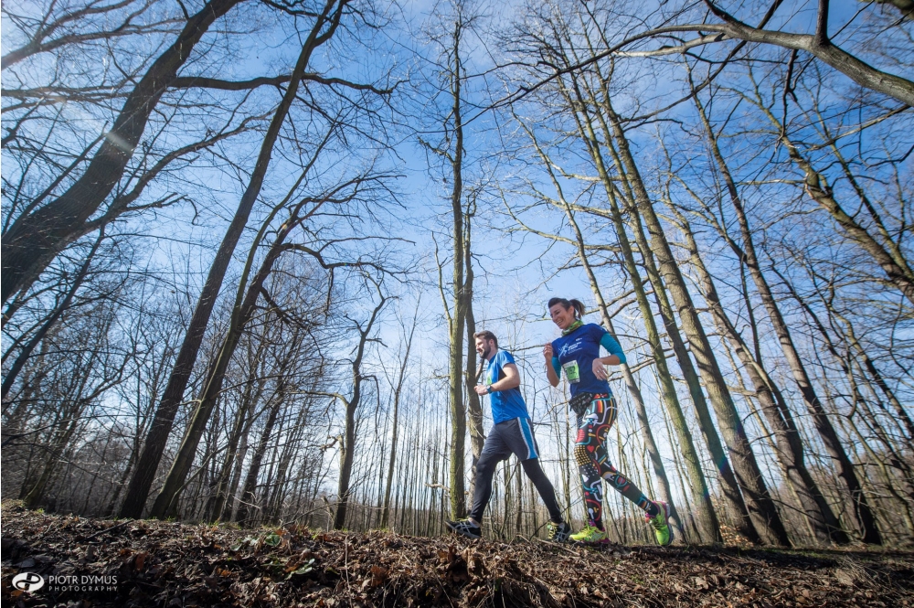 Zdjęcie na którym widać parę sportowców biegnących ścieżką po lesie.  