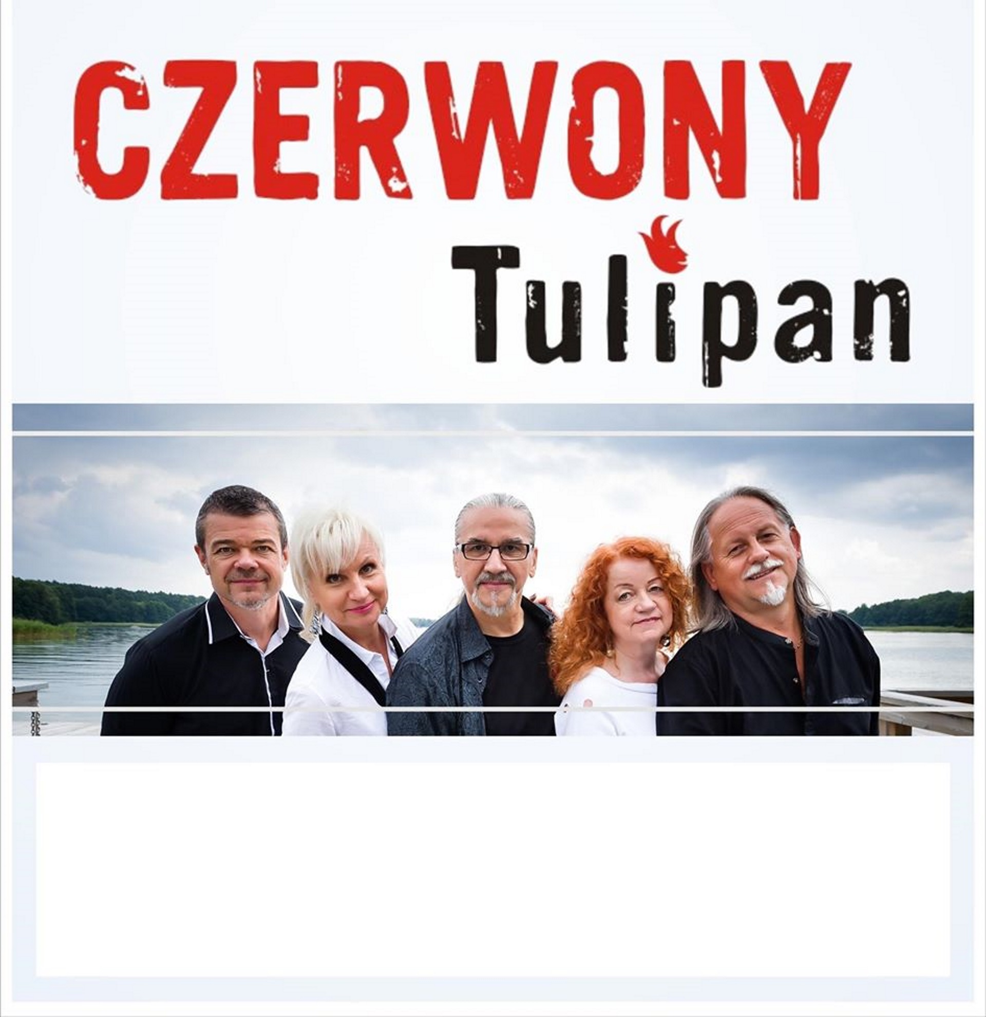 Zdjęcie - plakat przedstawiający pięciu członków zespołu Czerwony Tulipan
