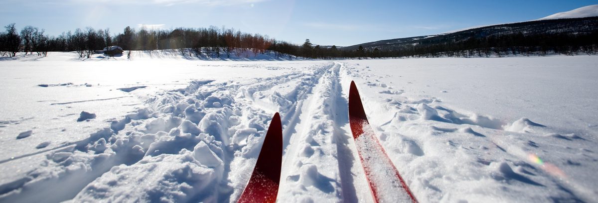 Na zdjęciu uchwycona przednia połowa nart na przygotowanym szlaku trasy ścieżki biegowej. Narty koloru koloru czerwonego podczas zimowego biegu narciarza. Wokół pole z dużą ilością śniegu a w oddali pod horyzontem widoczny las.            