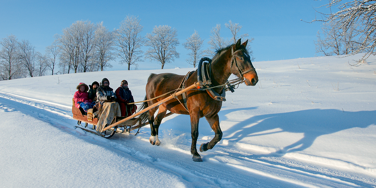 Zdjęcie przedstawia jadący poprzez ośnieżone pole wóz zaprzęgnięty w brązowego konia. Na wozie siedzi czworo ludzi opatulonych w koce. Dookoła leży biały śnieg, a drzewa w oddali są bezlistne.