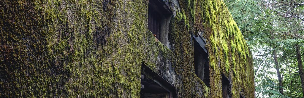 Zdjęcie przedstawia fragment porośniętego zielonym mchem muru bunkru niemieckiego w Mamerkach na mazurach.  W Mamerkach znajduje się jeden z najlepiej zachowanych w Polsce kompleks niezniszczonych bunkrów niemieckich z okresu II wojny światowej – Kwatera Główna Niemieckich Wojsk Lądowych. 