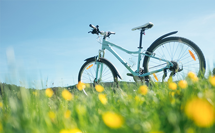 Stojący samotnie rower wycieczkowy na mazurskiej łące  wśród żółtych kwiatów.
