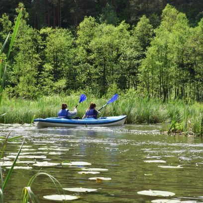 Spływ rzeką Dajną. Na zdjęciu niebieski kajak z dwiema wioślarkami pokonujący zakręt na rzece i wpływający nurtem rzeki do następnej odnogi Dajny.         
