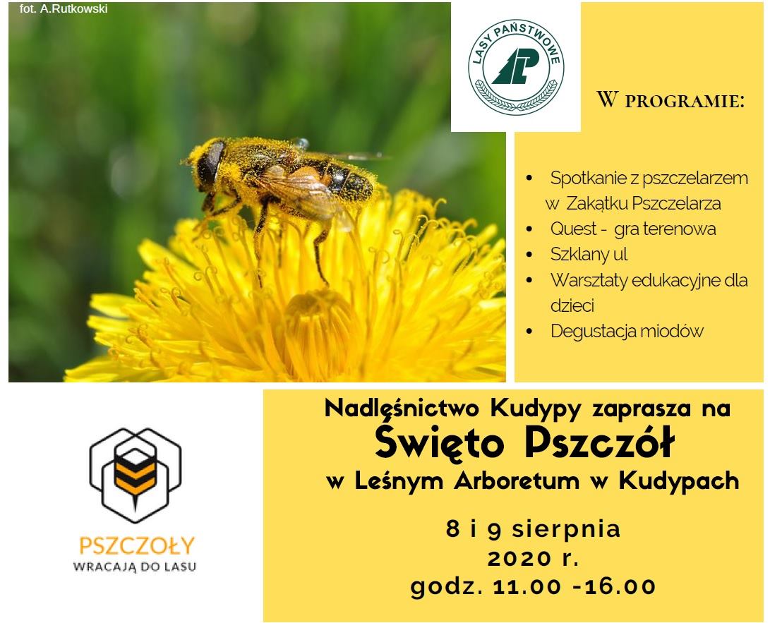 Plakat graficzny zapraszający do Kudyp na imprezę "Święto Pszczół" w Leśnym Arboretum w Kudypach 2020. Na plakacie imformacje o programie imprezy, godzina i data oraz zdjęcie pszczoły siedzącej na żółtym kwiatku.   