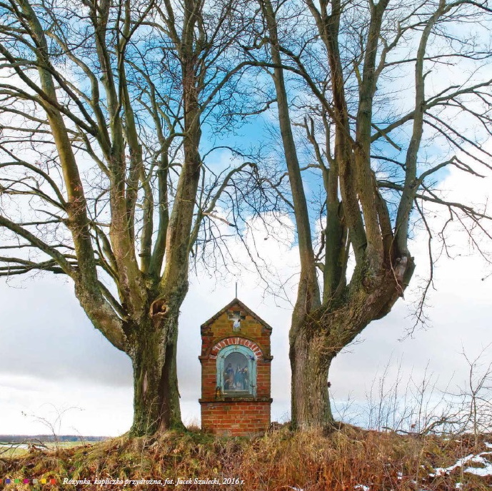 Zdjęcie przedstawia przydrożną kapliczkę obok pola w miejscowości Różynka. Kapliczka po obu stronach otoczona jest dwoma drzewami.  