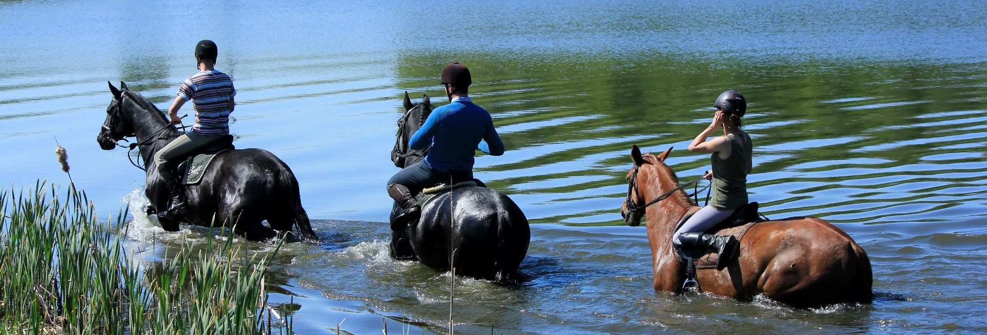 Zdjęcie przedstawiające trzech jeźdźców jadących na koniach brzegiem jeziora ze stadniny w Pałacu w Galinach. 