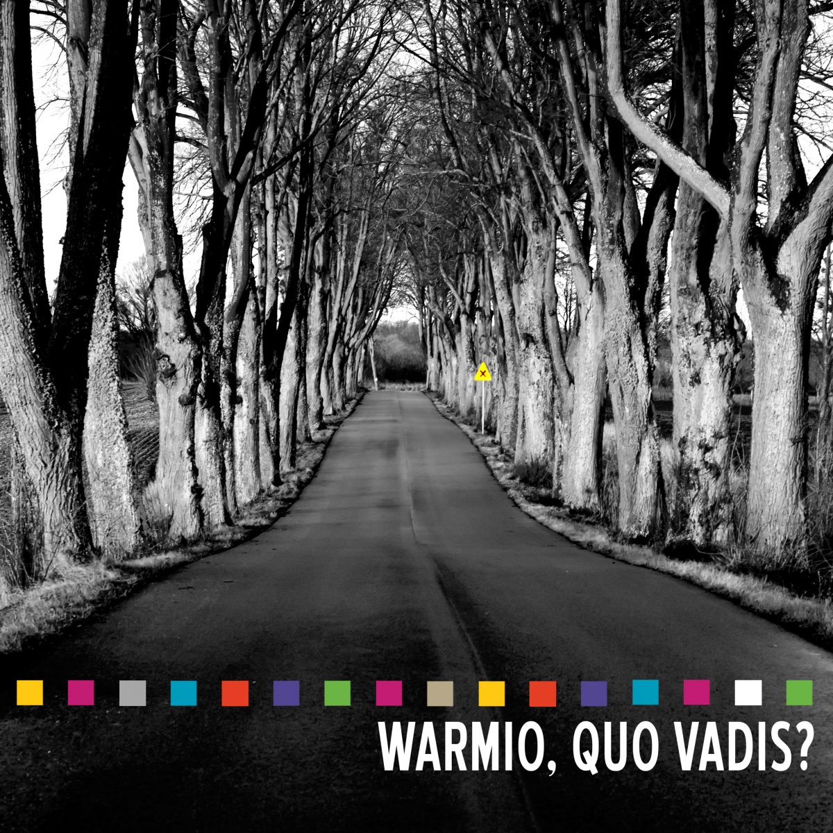 Zdjęcie okładki publikacji pod tytułem Warmio, Quo Vadis?  Na zdjęciu mazurska droga otoczona po obu stronach drzewami.  