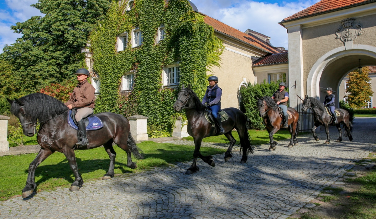 Zdjęcie przedstawiające czterech jeźdźców jadących na koniach ruszających z Pałacu w Galinach. 