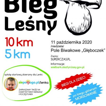 Plakat graficzny zapraszający w dniu 11 października 2020 r. na Pole Biwakowe „Głęboczek” k. Wielbarka na zawody - Wielbarski Bieg Leśny 2020. Na plakacie narysowany grzyb oraz opisany program i godziny zawodów.  