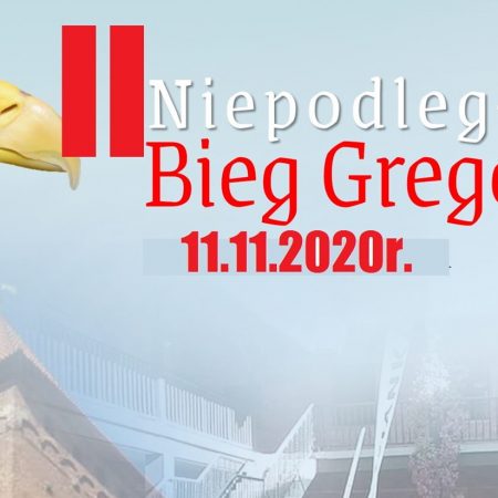 Plakat graficzny zapraszający do Nidzicy na 2. edycję Niepodległościowego Biegu Gregoroviusa - Nidzica 2021. NA plakacie po lewej stronie zdjęcie głowy orła na tle Zamku w Nidzicy. Na plakacie informacja o biegu.