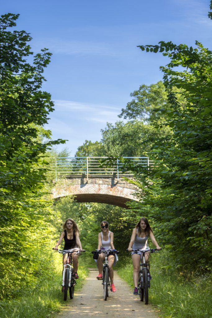 Zdjęcie przedstawia szutrową ścieżkę rowerową relacji Węgorzewo - Ogonki, na której obok siebie jadą trzy rowerzystki ubrane w letnie sportowe stroje. 