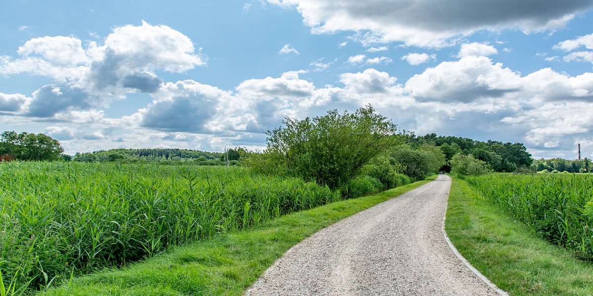 Zdjęcie przedstawiające fragment ścieżki rowerowej - Łynostrady w Olsztynie. Na zdjęciu widzimy bitumiczną ścieżkę rowerową otoczoną zielonymi polami.