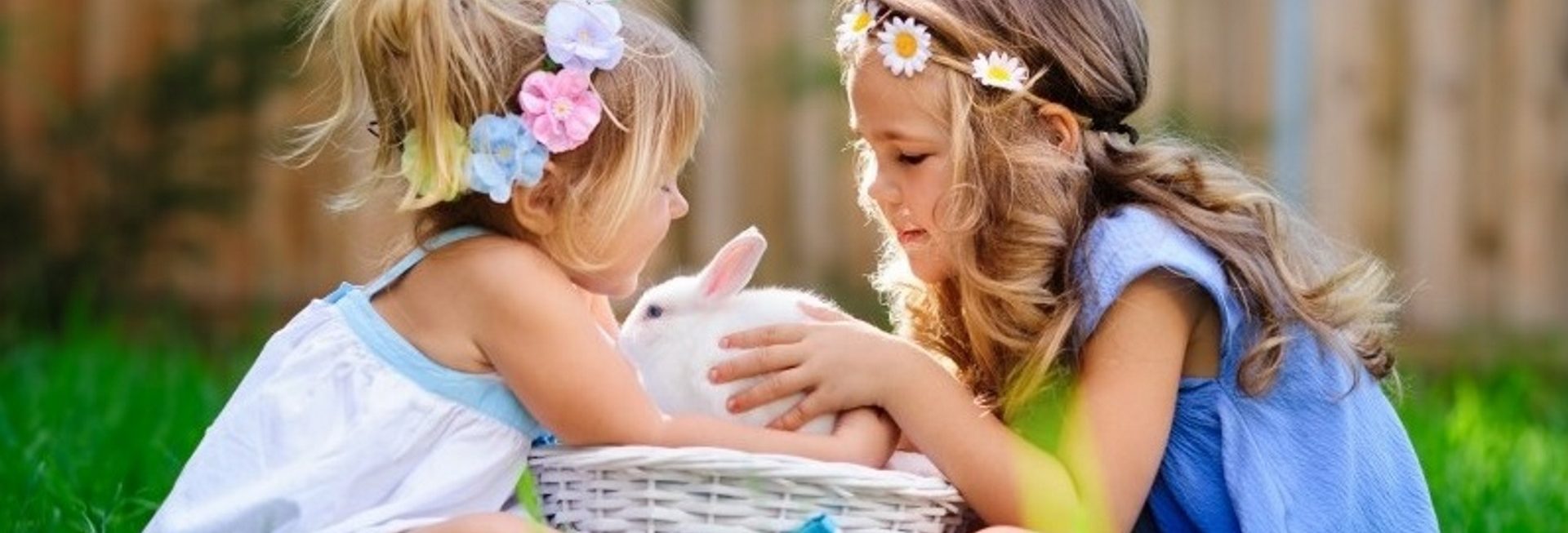 Zdjęcie przedstawia dwie dziewczynki w ogródku, które siedzą przy koszyczku wiklinowym w którym znajduje się królik.      