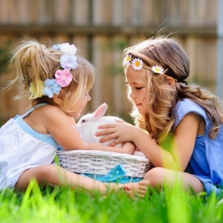 Zdjęcie przedstawia dwie dziewczynki w ogródku, które siedzą przy koszyczku wiklinowym w którym znajduje się królik.      