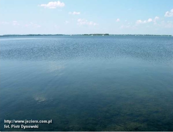 Panorama jeziora Dobskiego. Na zdjęciu widzimy taflę jeziora.  