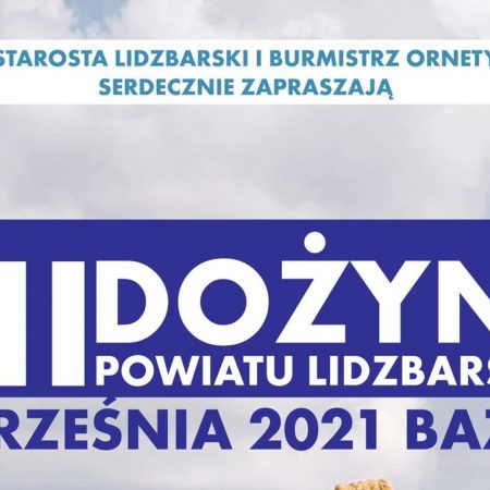 Plakat graficzny zapraszający do miejscowości Bażyny w gminie Orneta na XII Dożynki Powiatu Lidzbarskiego - Bażyny 2021. Na plakacie napisy.