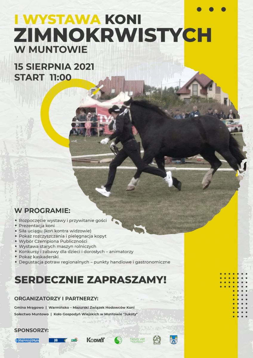 Plakat graficzny zapraszający do Muntowa w gminie Mrągowo na I Wystawę Koni Zimnokrwistych - Muntowo 2021. Na plakacie zdjęcie konia prowadzącego przez opiekuna oraz napisy zapraszające na imprezę.