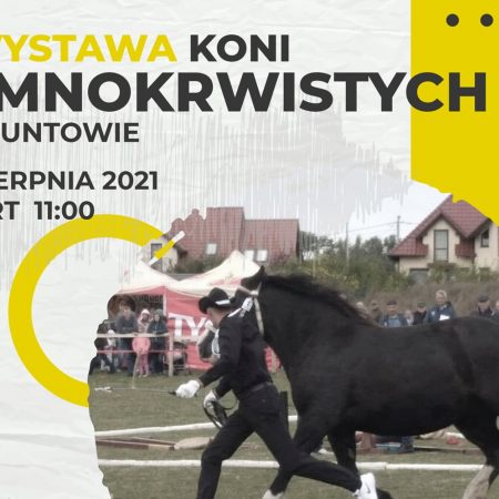 Plakat graficzny zapraszający do Muntowa w gminie Mrągowo na I Wystawę Koni Zimnokrwistych - Muntowo 2021. Na plakacie zdjęcie konia prowadzącego przez opiekuna oraz napisy zapraszające na imprezę.