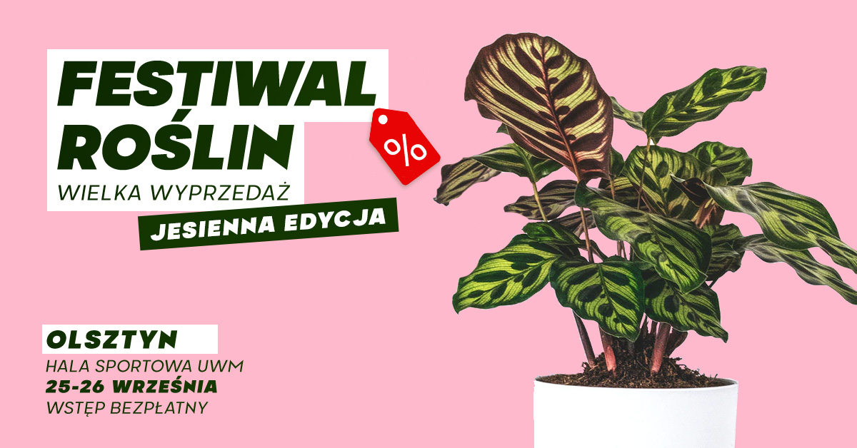 Plakat graficzny zapraszający do Olsztyna na Festiwal Roślin - wielka wyprzedaż roślin doniczkowych - Olsztyn Kortowo 2021.