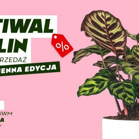 Plakat graficzny zapraszający do Olsztyna na Festiwal Roślin - wielka wyprzedaż roślin doniczkowych - Olsztyn Kortowo 2021.