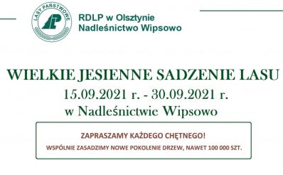 Plakat graficzny zapraszający do Nadleśnictwa Wipsowo na Wielkie Jesienne Sadzenie Lasu - Nadleśnictwo Wipsowo 2021.