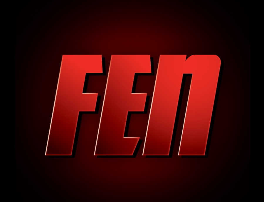 Plakat graficzny - logo federacji FEN MMA Fight Exclusive Night. 
