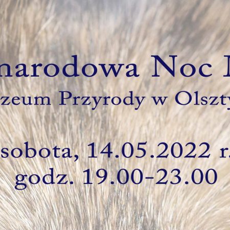 Plakat graficzny zapraszający do Olsztyna na Międzynarodową Noc Muzeów 2022 w Muzeum Przyrody w Olsztynie.