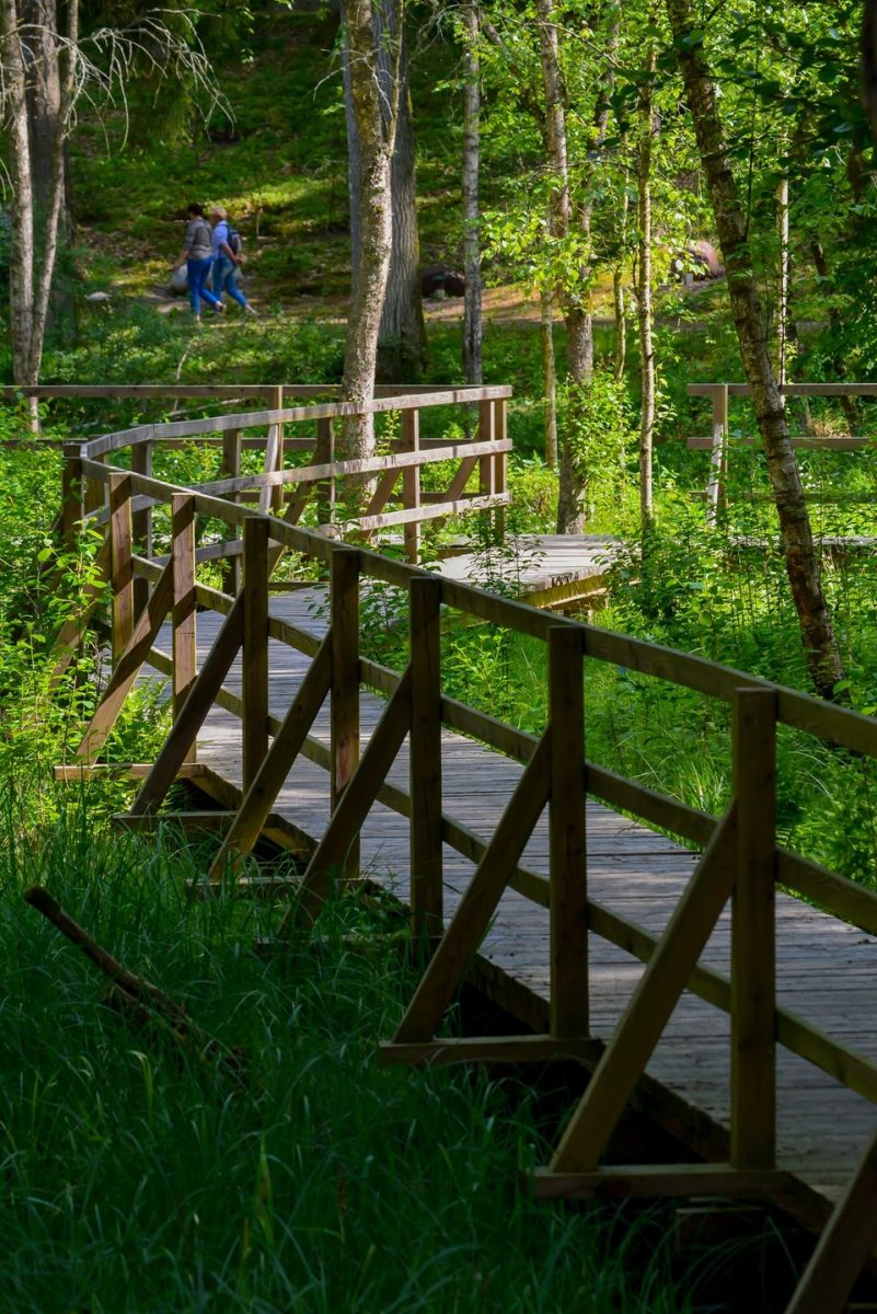 Zdjęcie zapraszające do Arboretum w Kudypach pod Olsztynem na Spotkanie - Zakochaj się w leśnym ogrodzie botanicznym w Kudypach 2022. 