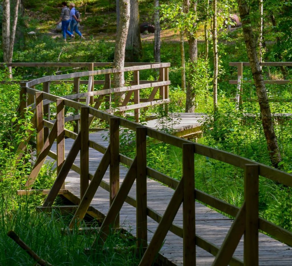 Zdjęcie zapraszające do Arboretum w Kudypach pod Olsztynem na Spotkanie - Zakochaj się w leśnym ogrodzie botanicznym w Kudypach. 