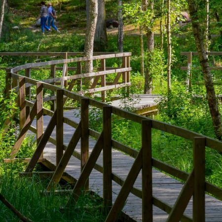 Zdjęcie zapraszające do Arboretum w Kudypach pod Olsztynem na Spotkanie - Zakochaj się w leśnym ogrodzie botanicznym w Kudypach 2022. 