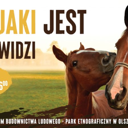 Plakat zapraszający do Muzeum Budownictwa Ludowego w Olsztynku na imprezę plenerową Koń jaki jest każdy widzi - Skansen w Olsztynku 2022.