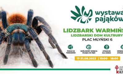 Plakat zapraszający do Lidzbarka Warmińskiego na Wystawę Pająków Lidzbark Warmiński 2022.
