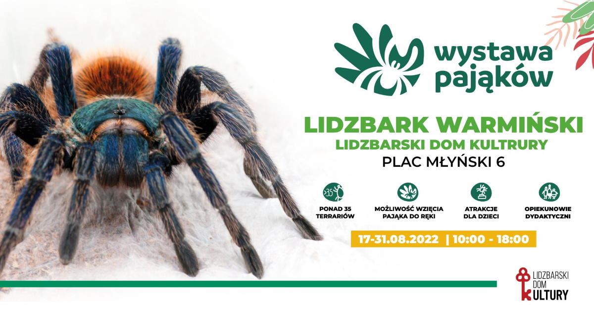 Plakat zapraszający do Lidzbarka Warmińskiego na Wystawę Pająków Lidzbark Warmiński 2022.