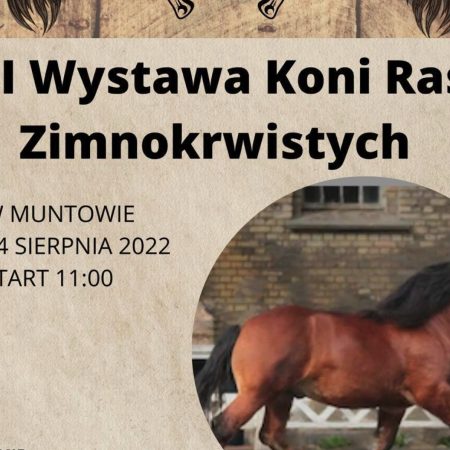 Plakat zapraszający do miejscowości Muntowo w gminie Mrągowo na 2. edycję Wystawę Koni Ras Zimnokrwistych Muntowo 2022.
