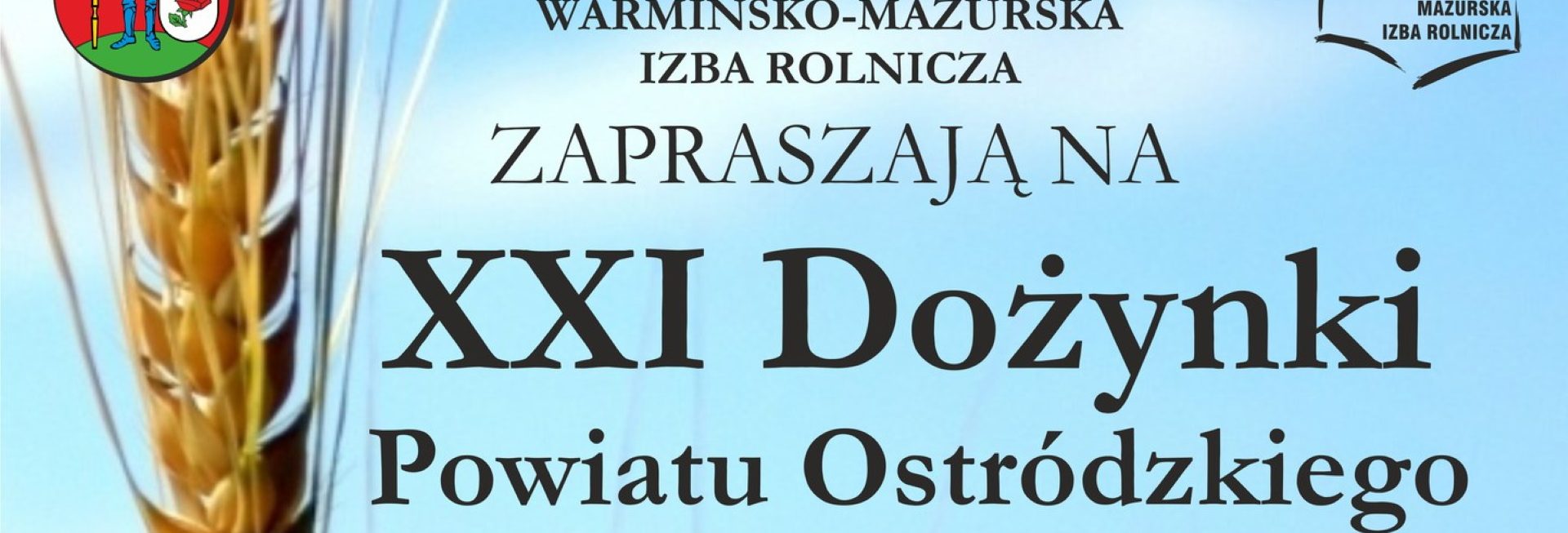 Plakat zapraszający do Ostródy na Dożynki Powiatu Ostródzkiego 2022.