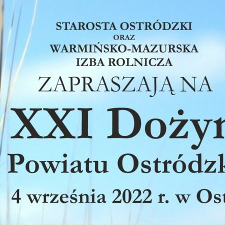 Plakat zapraszający do Ostródy na Dożynki Powiatu Ostródzkiego 2022.