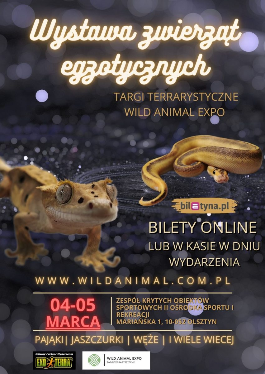 Plakat zapraszający do Olsztyna w dniach 4-5 marca 2023 r. na wystawę zwierząt egzotycznych - Targi terrarystyczne Wild Animal Expo Olsztyn 2023.