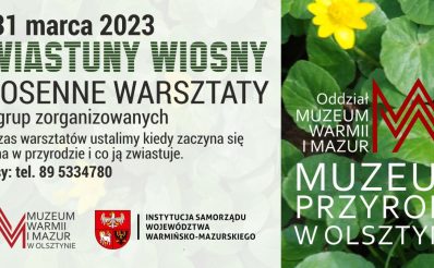 Plakat zapraszający w dniach 1-31 marca 2023 r. do Muzeum Przyrody w Olsztynie na Wiosenne warsztaty "Zwiastuny wiosny" Muzeum Przyrody Olsztyn 2023.