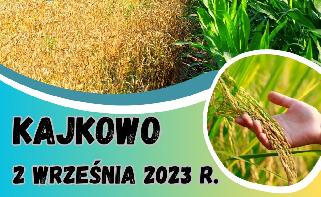 Plakat zapraszający w sobotę 2 września 2023 r. do miejscowości Kajkowo w gminie Ostróda na Dożynki Gminne Kajkowo 2023.