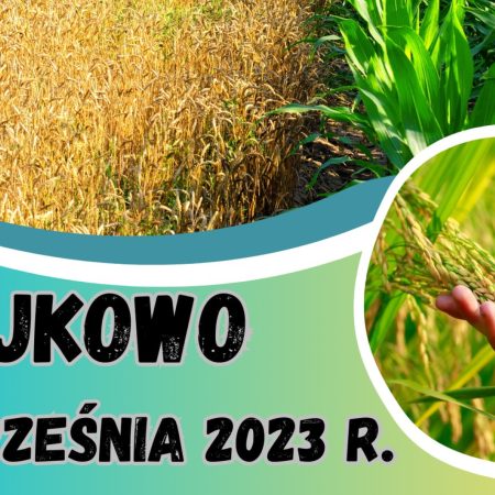 Plakat zapraszający w sobotę 2 września 2023 r. do miejscowości Kajkowo w gminie Ostróda na Dożynki Gminne Kajkowo 2023.