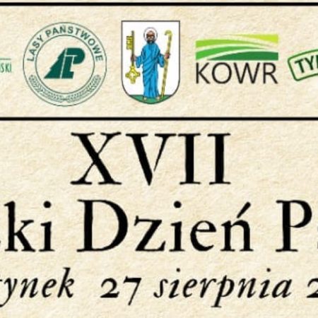 Plakat zapraszający w niedzielę 27 sierpnia 2023 r. do Olsztynka na 17. edycję Wojewódzkiego Dnia Pszczelarza Olsztynek 2023.