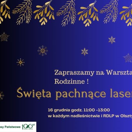 Plakat zapraszający w sobotę 16 grudnia 2023 r. do Olsztyna na warsztaty rodzinne "Święta pachnące lasem" Nadleśnictwo Olsztyn 2023.