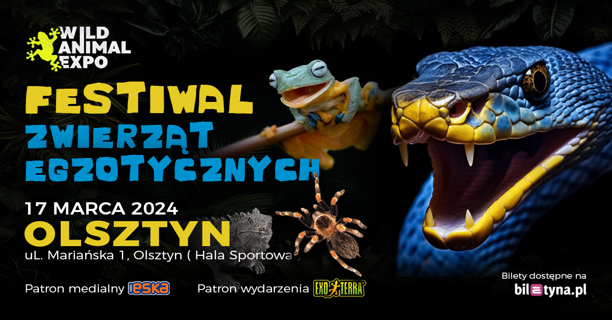Plakat zapraszający w niedzielę 17 marca 2024 r. do Olsztyna na festiwal zwierząt egzotycznych! Wild Animal Expo Olsztyn 2024.